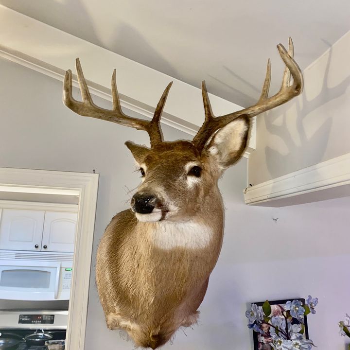 Profile Picture of MarkBelden (@june_bu) on Tiktok