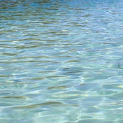 Profile Picture of Kelsey Mackey (@nikyanimes) on Youtube