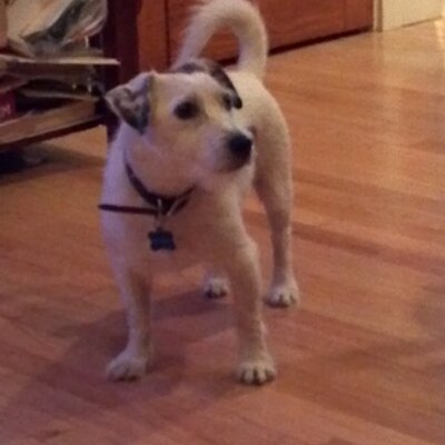 Peter Butterfield - Twitter Profile Picture of Peter Butterfield (@peterman3220) on Twitter