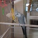 Beverly Montanez - Instagram Profile Picture of Beverly Montanez (@beverlymontanez) on Instagram