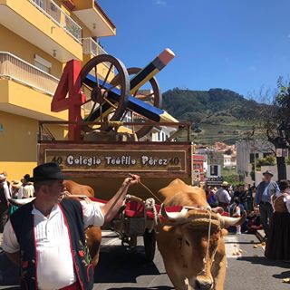 Profile Picture of Ceip Teófilo Pérez Tegueste (@teofilo.perez.501) on Facebook