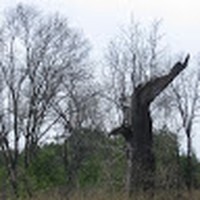 Profile Picture of Tony Abate (@tony-abate-6) on Quora