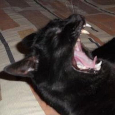 Profile Picture of Mike Quinlan (@quinnm51) on Twitter