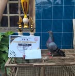 Profile Picture of Megan Tlampik (@Megan-Tlampik) on Facebook