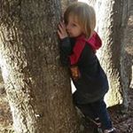 Profile Picture of Cindy Groff Betts (@bettscindy) on Instagram