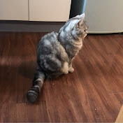 Profile Picture of Mark Su (@sces520307) on Youtube