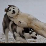 Profile Picture of duncan nathaniel mccullough (@duncan.mccullough) on Instagram