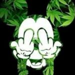 Profile Picture of Thomas ingham (@ingham133) on Instagram