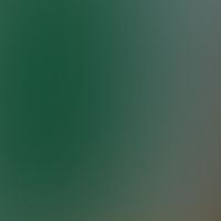 Profile Picture of Edward Bloom (@eddiebloom22) on Tiktok