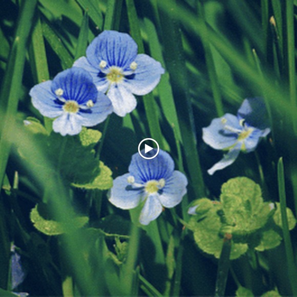 Profile Picture of Lori Allen (@monkeynona02) on Poshmark