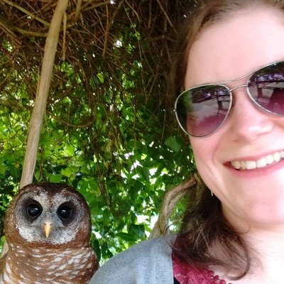 Profile Picture of Catherine Klein (@Kleinophis) on Twitter