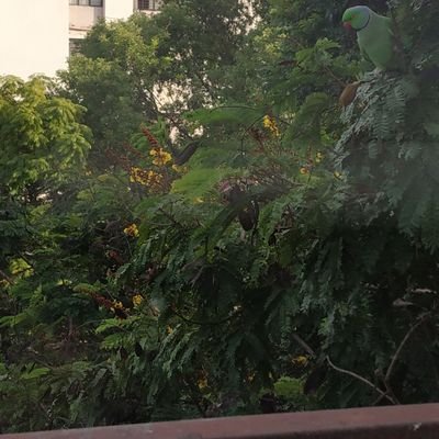 Profile Picture of Vishwanath Paygude (@d90821a2bba14d6) on Twitter