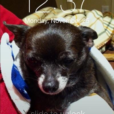 Profile Picture of Michelle Hernandez (@Mic53ric64) on Twitter