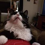 Profile Picture of Jeremy B (@jerm.burtt) on Instagram