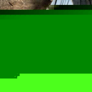 Profile Picture of Rob Quackenbush (@238636675) on Myspace