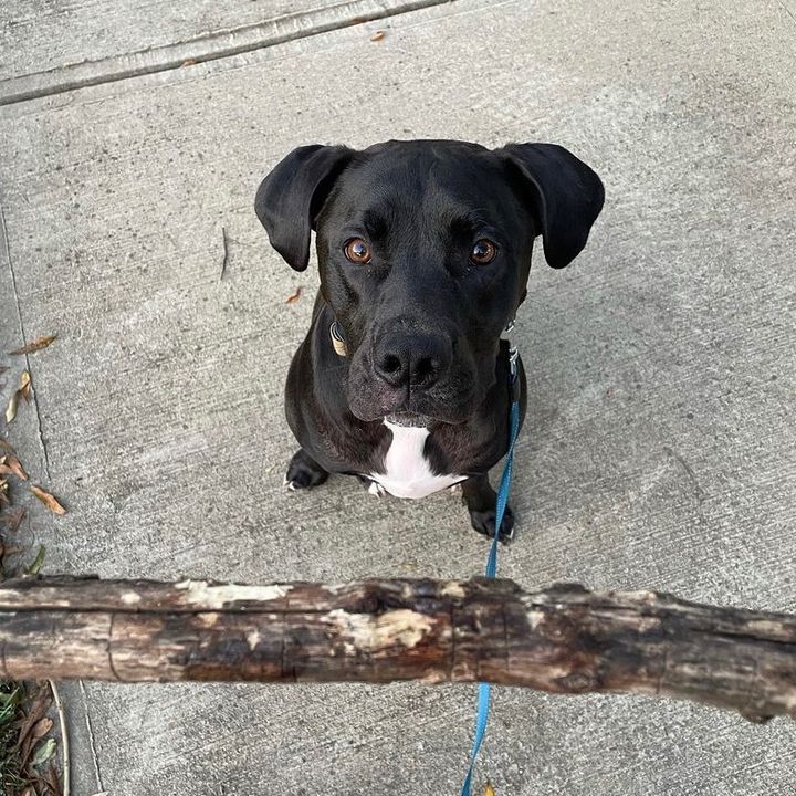 Richard Tracht818 - Tiktok Profile Picture of Richard Tracht818 (@richardtracht818) on Tiktok