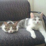 Profile Picture of Marshall & Lilly (@marshallandlillyxoxo) on Instagram