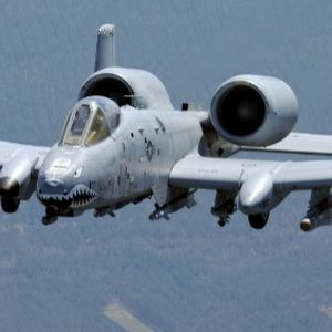 Profile Picture of davidvellucci35 (@davidvellucci35) on Tiktok