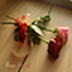 Profile Picture of Reem Sharaf (@*fancyfacy*) on Flickr