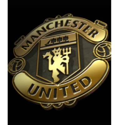 Profile Picture of Oscar Liu (@Oscarliu12) on Twitter