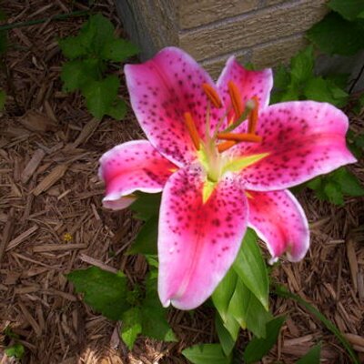 Profile Picture of Heidi Weber (@MalCamKee) on Twitter