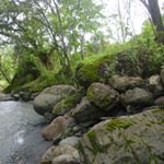 Profile Picture of Gisella Rivera Gómez (@girigo2000) on Instagram