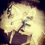 Profile Picture of joel Amador (@jamadoralvarado) on Instagram