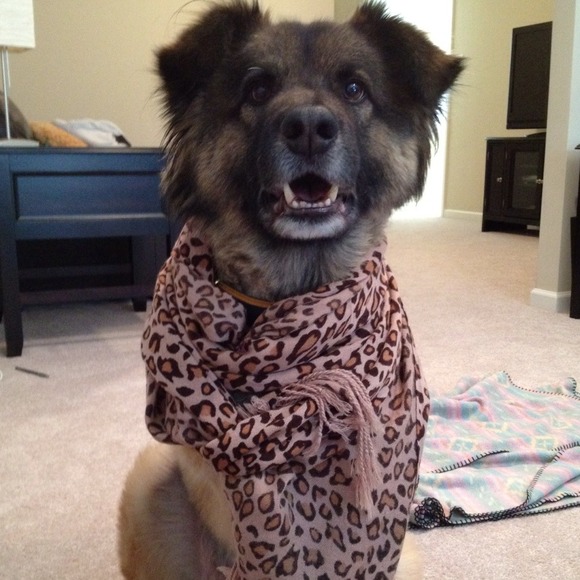 Profile Picture of Jordan Jorns (@jjorns1982) on Poshmark