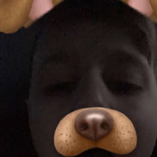 Profile Picture of Marshall Payne (@payne.marshall) on Instagram