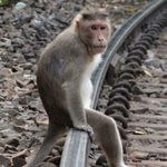 Profile Picture of Scott Darrah (@scott.darrah.58) on Instagram