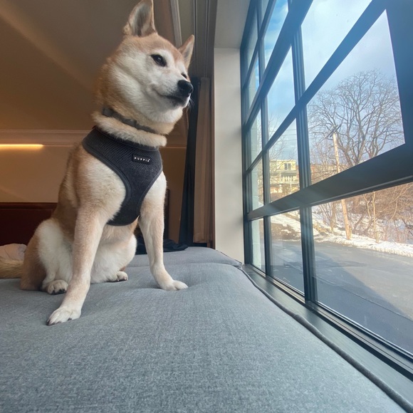 Profile Picture of Doug Bliler (@dougbliler) on Poshmark