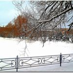 Profile Picture of Griffis (@griffishall) on Instagram