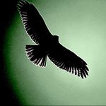 Profile Picture of John Riggs (@thejohnriggs) on Instagram