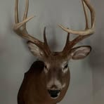 Profile Picture of Howard Hudson (@howard.hudson.108) on Facebook