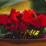 Profile Picture of Kevin Zyskowski (@zys.kowski) on Instagram