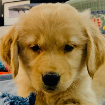 Miles Heath - Twitter Profile Picture of Miles Heath (@MilesHeath7) on Twitter