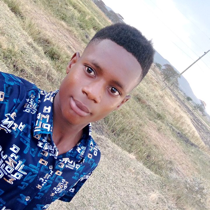 Profile Picture of Tony bosco (@tony.bosco5) on Tiktok