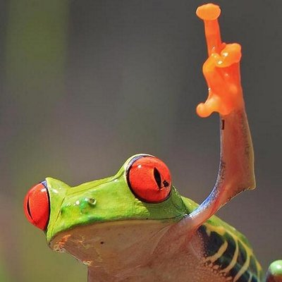 Profile Picture of Tom Mckay (@tommckay007) on Twitter