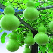 Profile Picture of Jade Wu (@Littlemonkey80) on Youtube