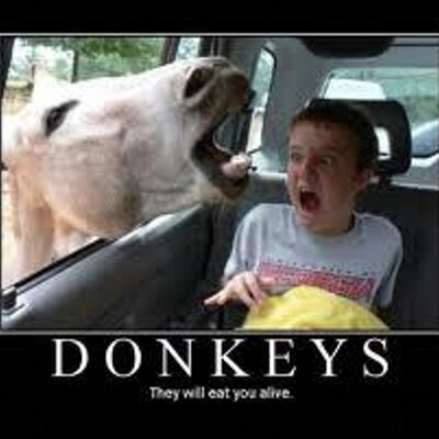 Profile Picture of Kelly (@@EricShinn411) on Twitter