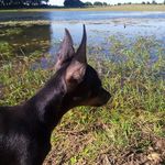 Profile Picture of Cassandra Neves (@duq_ue2020) on Instagram