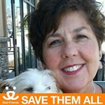 Profile Picture of Lisa Morrone (@lisa.morrone.3) on Instagram