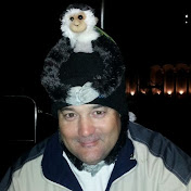 Profile Picture of Joe Dollar (@MrJoeDollar) on Youtube