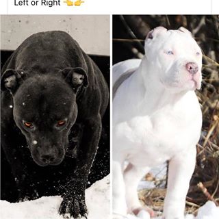 Profile Picture of Blake Buffkin (@blake.buffkin.9) on Facebook