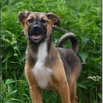 Profile Picture of CHAD (@193fzchadhartwig) on Instagram