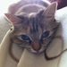 Profile Picture of Maria Michalopoulos (@mariamic78) on Pinterest