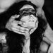 Profile Picture of Villiers De Lisle-Adam (@delisleadam) on Pinterest