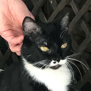 Profile Picture of Clara Calvo (@clara.calvo.3910) on Facebook