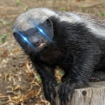 Profile Picture of Pzi Onic (@pil8920) on Twitter