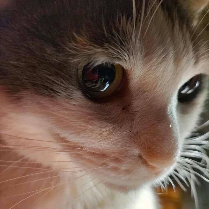 Profile Picture of Lisa.Hester (@xalteuvtsog) on Tiktok